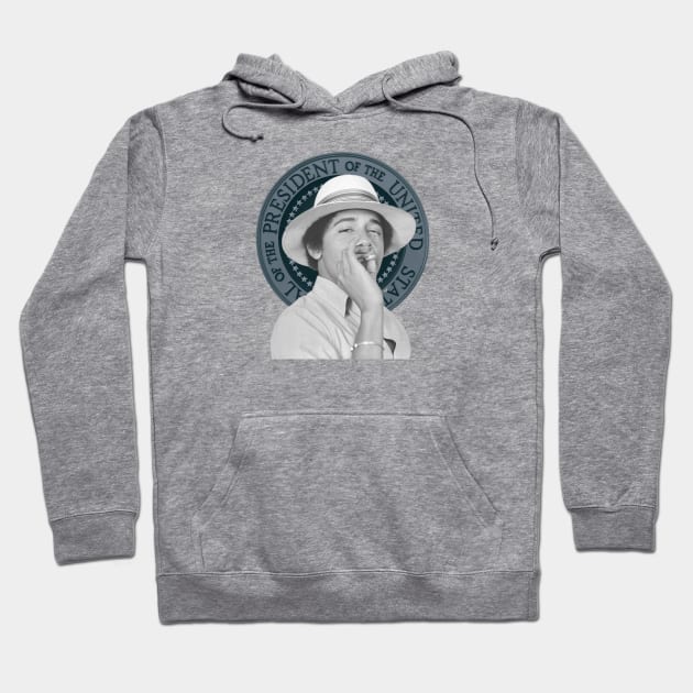 Presidential Elevation Hoodie by Established One